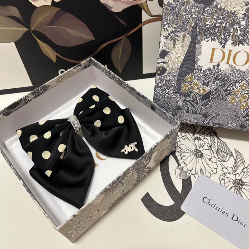 Dior Hairpin hh (47)